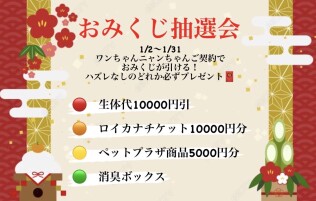 わんにゃんご契約1月イベント✨️